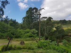 8095 m² Land available in Inchanga