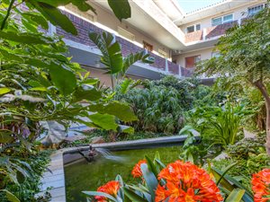 1 Bed Apartment in Gardens