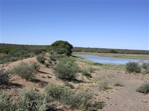8000 ha Farm in Hopetown