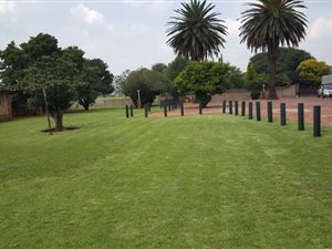15244 ha Smallholding in Springs Central
