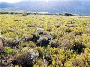 1176 m² Land available in Bettys Bay
