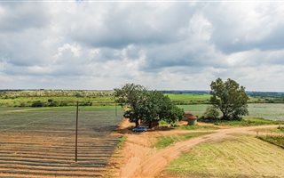 42.5 ha Farm in Grootvlei