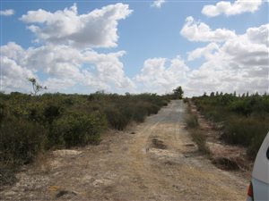 41 ha Farm in Hopefield