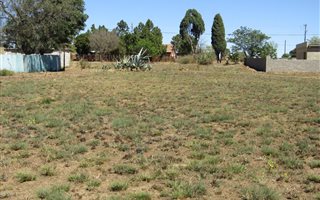 1115 m² Land available in Deneysville