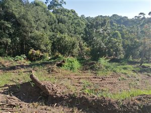 1.3 ha Land available in Crestholme