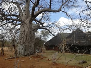 Farm in Musina