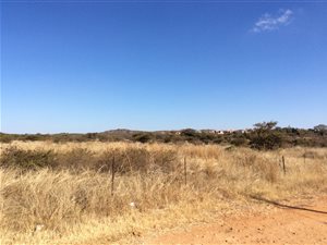 22 ha Farm in Tweefontein