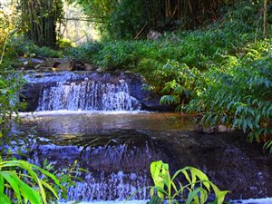 18 ha Land available in Montrose