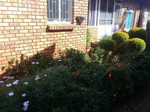 2 Bed Simplex in Clarina