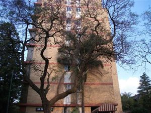 1 Bed Apartment in Sunnyside