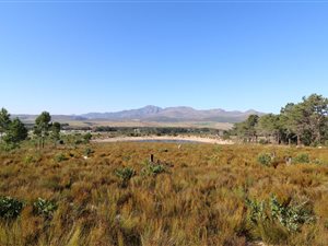 50 ha Farm in Westcliff