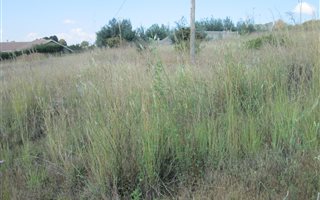 936 m² Land available in Fouriesburg