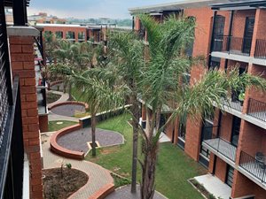 2 Bed Apartment in Melrose