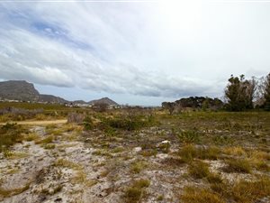 74 ha Smallholding in Pringle Bay