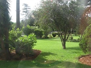 2 Bed Apartment in Denlee