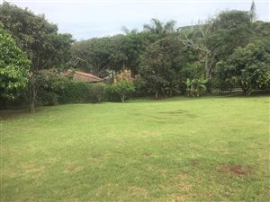 1000 m² Land available in Clansthal