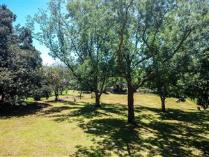 4007 m² Land available in Crestholme