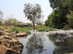 5.4 ha Farm in Kameeldrift East