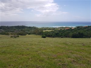 733 m² Land available in Cintsa