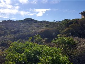 1125 m² Land available in Pinnacle Point Golf Estate