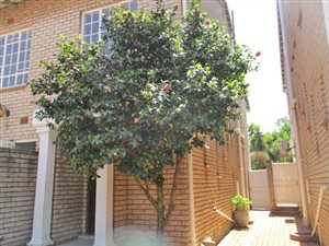 3 Bed Townhouse in Dunkeld