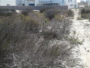 449 m² Land available in Blue Lagoon