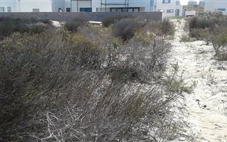 449 m² Land available in Blue Lagoon