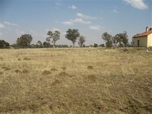 1 ha Land available in Martindale
