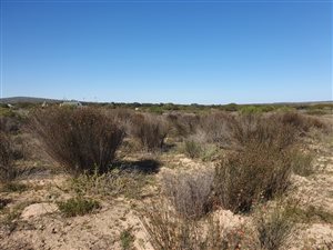 2 ha Land available in Long Acres