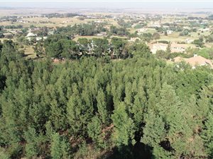1.1 ha Land available in Grootfontein Estate