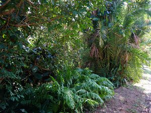1404 m² Land available in Glenmore