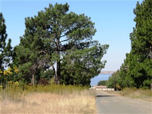 3270 m² Land available in Deneysville