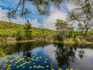 8.6 ha Farm in Plettenberg Bay