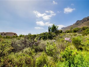 1582 m² Land available in Mountainside