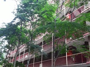2 Bed Apartment in Pretoria West