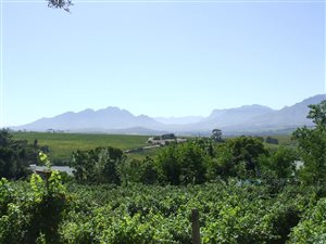 4.6 ha Farm in Stellenbosch Agricultural