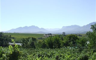4.6 ha Farm in Stellenbosch Agricultural