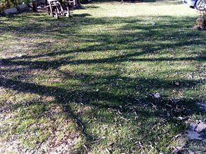 4260 m² Land available in Roodepoort Central