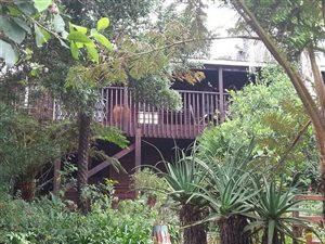 Commercial space in Graskop