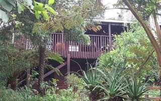 Commercial space in Graskop