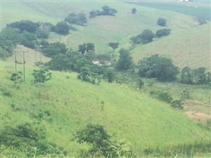 1.9 ha Farm in Ballito