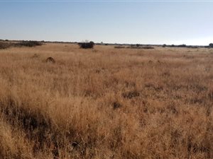 6783 ha Farm in Christiana