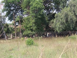 8 ha Farm in Marikana