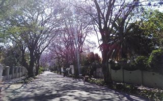 2 Bedroom Garden Cottage in Parkview