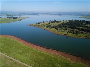 34.6 ha Farm in Howick