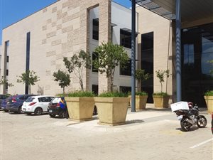 1000 m² Office Space in Muckleneuk