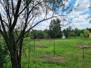 8572 m² Farm in Glen Austin AH