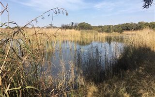 770 ha Farm in Zeerust