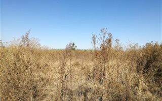 2.4 ha Land available in Wadeville