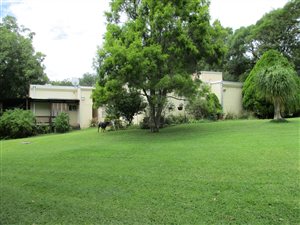 3 Bed House in Hospitaalpark
